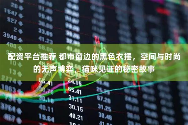 配资平台推荐 都市窗边的黑色衣摆，空间与时尚的无声博弈，猫咪见证的秘密故事