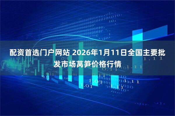 配资首选门户网站 2026年1月11日全国主要批发市场莴笋价格行情
