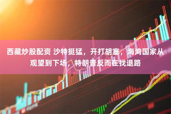 西藏炒股配资 沙特挺猛,开打胡塞,海湾国家从观望到下场,特朗普反而在找退路